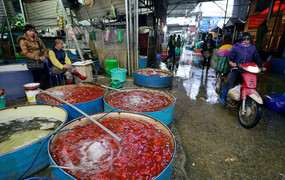 Chợ cá lớn nhất Hà Nội tấp nập trước ngày Táo quân chầu trời
