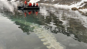 Ảnh: Cá voi khổng lồ trơ xương sau 1 năm làm mồi cho gấu