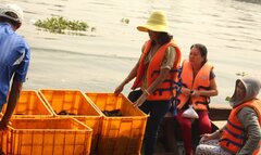 Người phụ nữ phóng sinh gần 2 tạ cá trong ngày ông Công, ông Táo
