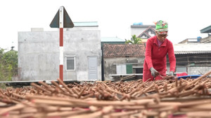 Ảnh: Làng làm hương Cao Thôn nhộn nhịp vào vụ Tết