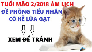 Sự nghiệp của người tuổi mão trong năm 2017