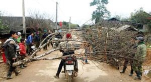 Ồ ạt lên biên giới 'săn' đào đá chơi Tết