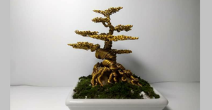 Nam sinh có 'bàn tay vàng' kiếm bạc triệu mỗi ngày bằng nghề làm cây bonsai từ dây đồng dịp Tết