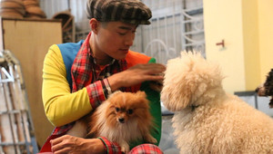 Nghệ sỹ xiếc kỳ vọng khán giả thích xiếc chó trong năm Mậu Tuất 2018