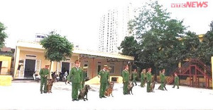 Chiến binh 4 chân của lực lượng công an, từng bảo vệ an ninh Hội nghị APEC