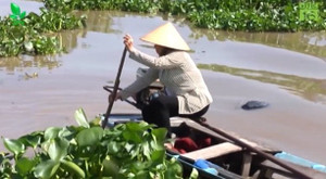 Gặp người hơn 10 năm 'vớt' tiền trôi trên sông