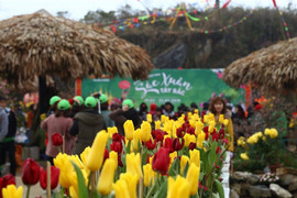 Nườm nượp khách rủ nhau trẩy hội 'Sắc xuân Tây Bắc' tại Sa Pa