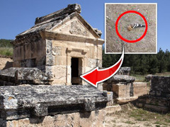 Sự thật về ngôi đền tử thần, đoạt mạng bất kỳ sinh vật nào lại gần