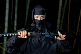 Ninja sẽ xuất hiện trước Quốc hội Nhật Bản