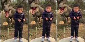 Cười té ghế clip bé trai cười méo xệch khi chụp ảnh với 'khủng long'