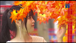 Địa điểm du xuân hấp dẫn được nhiều người chọn dịp đầu năm