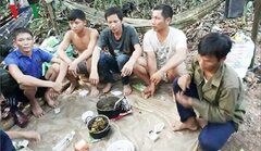 Xem xét trách nhiệm vụ phá rừng quy mô lớn ở Quảng Bình