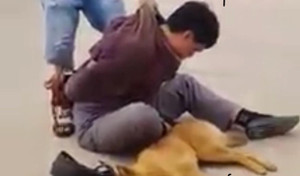 Dân truy đuổi tóm gọn cẩu tặc ở Thừa Thiên - Huế