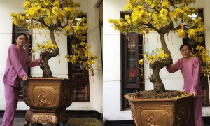 Bận rộn đi diễn, Hoài Linh khoe ảnh Tết muộn