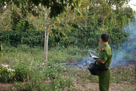 Phát hiện thi thể người đàn ông đang phân huỷ trong giếng nước