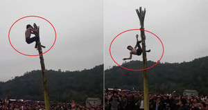 Clip: Trèo cây chuối trong lễ hội đầu xuân, nam thanh niên té ngã đau đớn