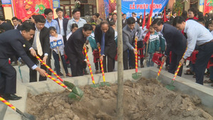 'Diễn' khi trồng cây: Căn bệnh lệch lạc về nhận thức, văn hoá của một bộ phận quan chức