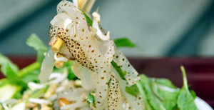 Ăn phải sứa độc mua ở chợ, người đàn ông suýt mất mạng