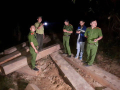 Mật phục bắt 5 xe công nông chở gỗ lậu từ cửa rừng tuồn ra ngoài tiêu thụ