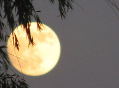 Tết Nguyên Tiêu 2018 là ngày nào?