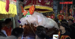 Trắng đêm xem rước 'ông lợn' nặng hàng trăm cân ở La Phù, Hà Nội
