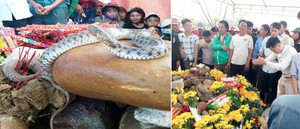 Dân Quảng Bình ùn ùn kéo đến khấn vái mẹ con 'rắn thần' trên ngôi mộ vô danh