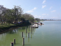 Tranh cãi việc làm đường đi bộ lát gỗ lim ở Huế: Ban Quản lý dự án nói gì?