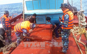 Bắt giữ hàng loạt tàu buôn lậu dầu trên vùng biển Tây Nam
