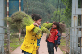 Ảnh: Trẻ em vùng núi Quảng Bình chân trần kéo nhau lên rừng hái 'lộc trời'