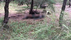 Hai cha con bị sát hại, thi thể không còn nguyên vẹn ở Lạng Sơn