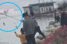 Video: Nghe lời trẻ con, du khách Trung Quốc dùng gậy đánh gục chim hải âu