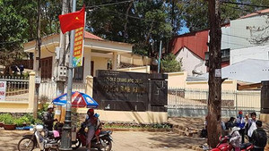 'Giáng chức' nữ hiệu trưởng lập khống chứng từ, 'thụt két' hơn 200 triệu đồng