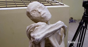 Phân tích hàng loạt xác ướp kỳ dị nghi là người ngoài hành tinh ở Peru