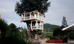 Căn nhà hai tầng đẹp như mơ trên cây thị gần 100 tuổi ở Nha Trang