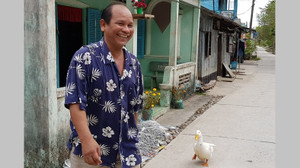 Chú vịt lẽo đẽo theo chủ như hình với bóng sau khi bị dọa thịt