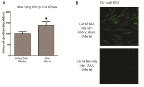 Tinh dầu thực vật giúp phục hồi tế bào bệnh vảy nến