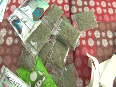 Mở quán bắp rang, kinh doanh luôn cỏ Mỹ