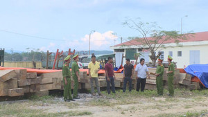 Mật phục bắt 5 xe công nông chở gỗ lậu: Công an triệu tập 7 đối tượng