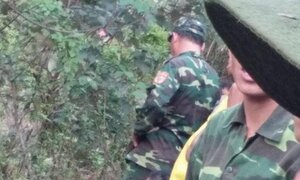 Đi chăn bò, phát hiện xác nam thanh niên phân hủy ở bìa rừng Sơn La