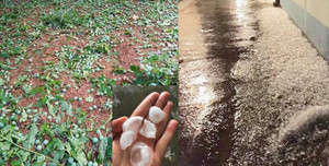 Gió lốc kèm mưa đá bất thường càn quét, tàn phá Sơn La, Bắc Kạn