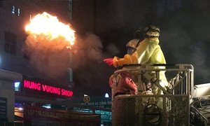 Clip: Cảnh sát TP.HCM cầm đuốc tẩm dầu phá tổ ong trên cây trong đêm