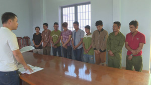 Chặt cây gỗ quý ở vườn quốc gia Yok Đôn: Khởi tố 13 người