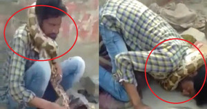 Clip: Người biểu diễn bị trăn siết cổ ngạt thở nhưng khán giả không hay biết