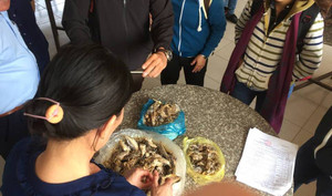 Thực hư tin đồn có giun sán trong món cá nục hấp của học sinh Đắk Lắk