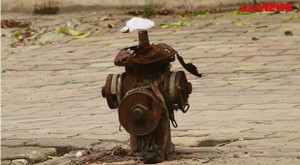 Ngao ngán nhìn những trụ chữa cháy hoen gỉ, mục gần hết ở các chung cư Hà Nội