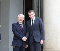 Tổng Bí thư Nguyễn Phú Trọng hội đàm với Tổng thống Emmanuel Macron