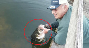 Clip: Câu cá bằng tay, tóm được cá 'khủng' trong nháy mắt