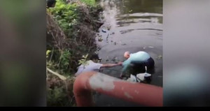 Video: Cảm động cụ ông 90 tuổi lao xuống sông lạnh như băng cứu bé trai