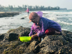 Ảnh: Dân mò mẫm tìm sản vật biển làm món giải nhiệt mùa hè độc nhất Quảng Trị