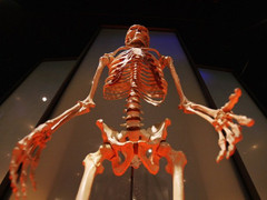 PGS.TS Nguyễn Tiến Dũng: Đồ hỏng gọi thợ sửa, sao con ốm đòi tự chữa?